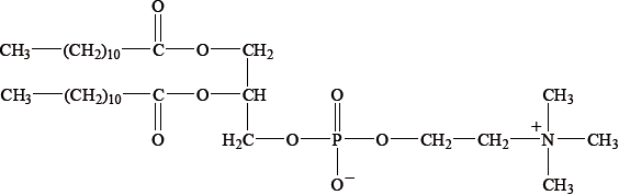 M09/4/CHEMI/SP3/ENG/TZ1/B2.c