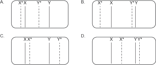 M18/4/PHYSI/HPM/ENG/TZ1/29_02